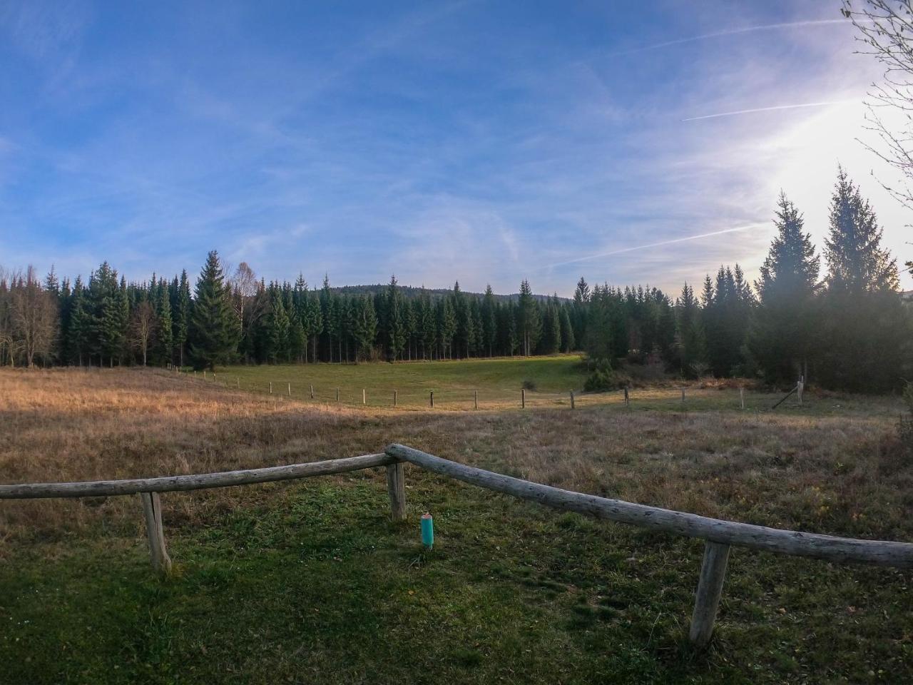 Вілла Mountain House Tadic 2 Баїна-Башта Екстер'єр фото